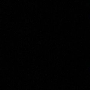 Meet your Posher, Bailey